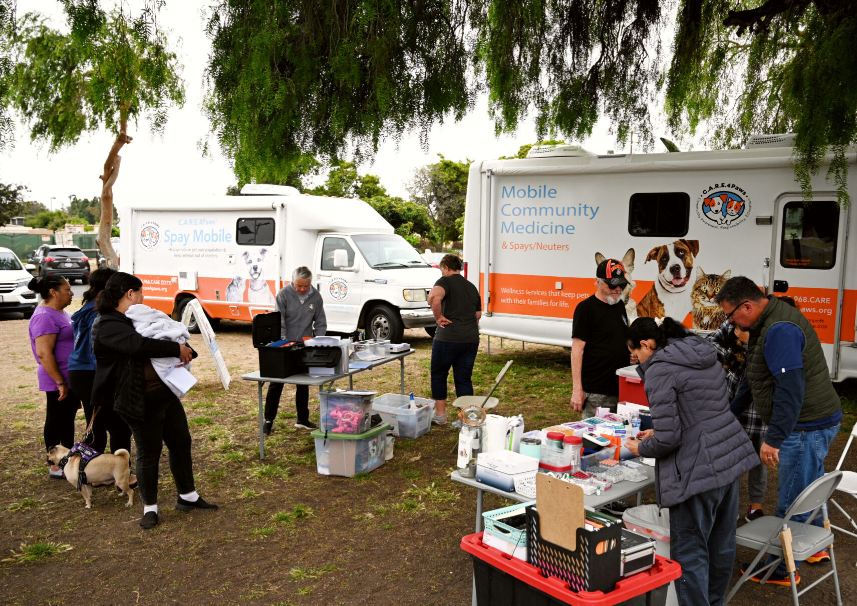 062823-smt-news-care-4-paws-clinic-006.jpg